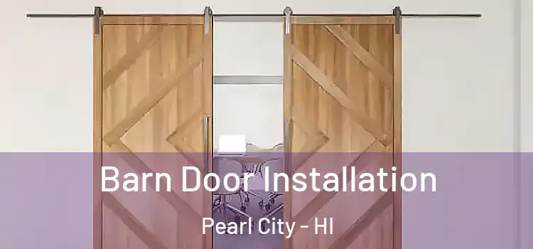 Barn Door Installation Pearl City - HI