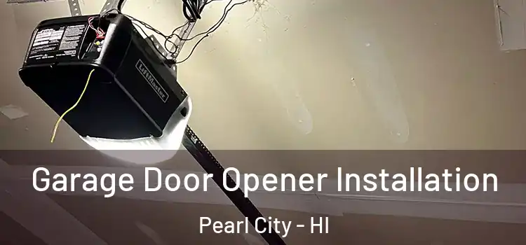  Garage Door Opener Installation Pearl City - HI