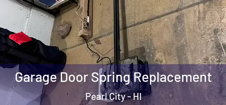  Garage Door Spring Replacement Pearl City - HI