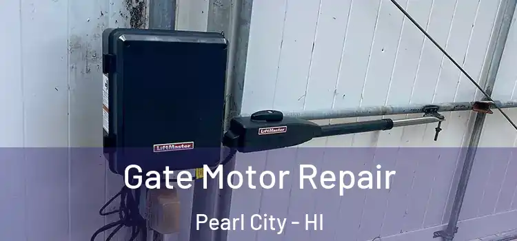 Gate Motor Repair Pearl City - HI