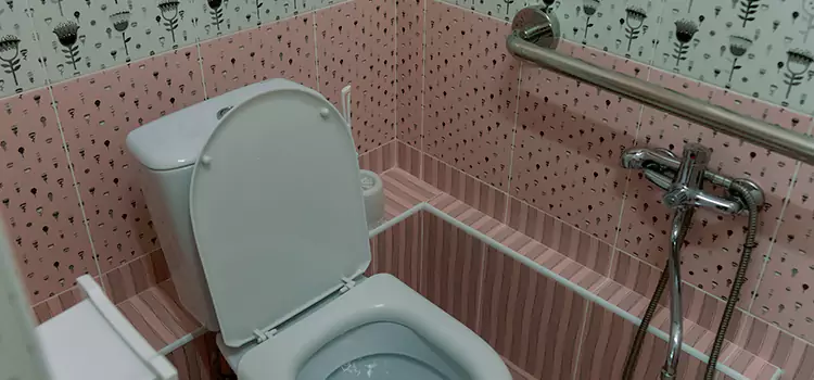 Meeting Diverse Needs With Accessible Restroom Solutions in Pearl City, HI