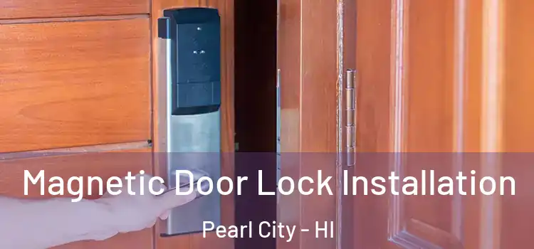  Magnetic Door Lock Installation Pearl City - HI