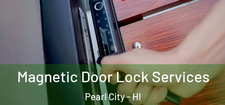  Magnetic Door Lock Services Pearl City - HI