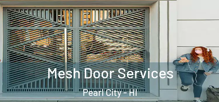 Mesh Door Services Pearl City - HI